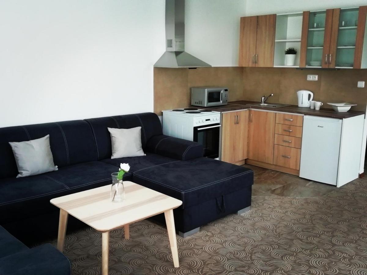 Apartmany U Stribrnych Hradec Králové Extérieur photo