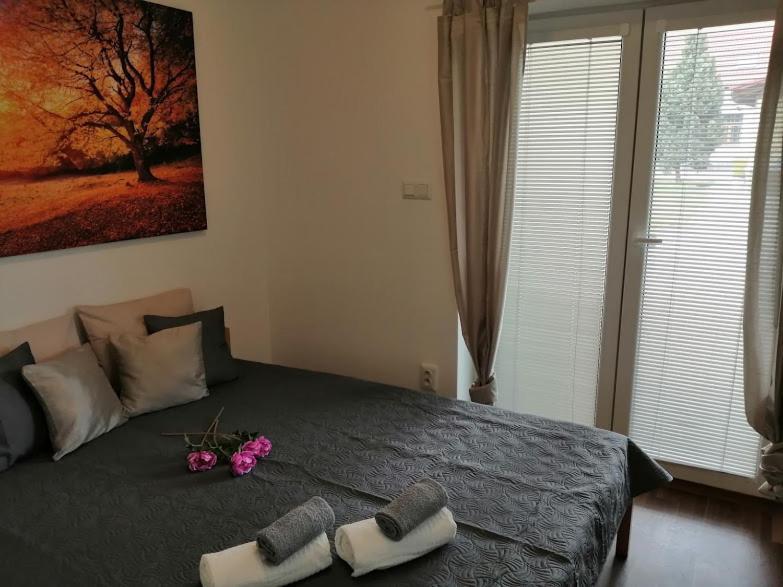 Apartmany U Stribrnych Hradec Králové Extérieur photo